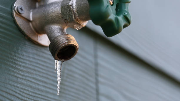 Best Leak Detection Services  in Rehoboth Beach, DE